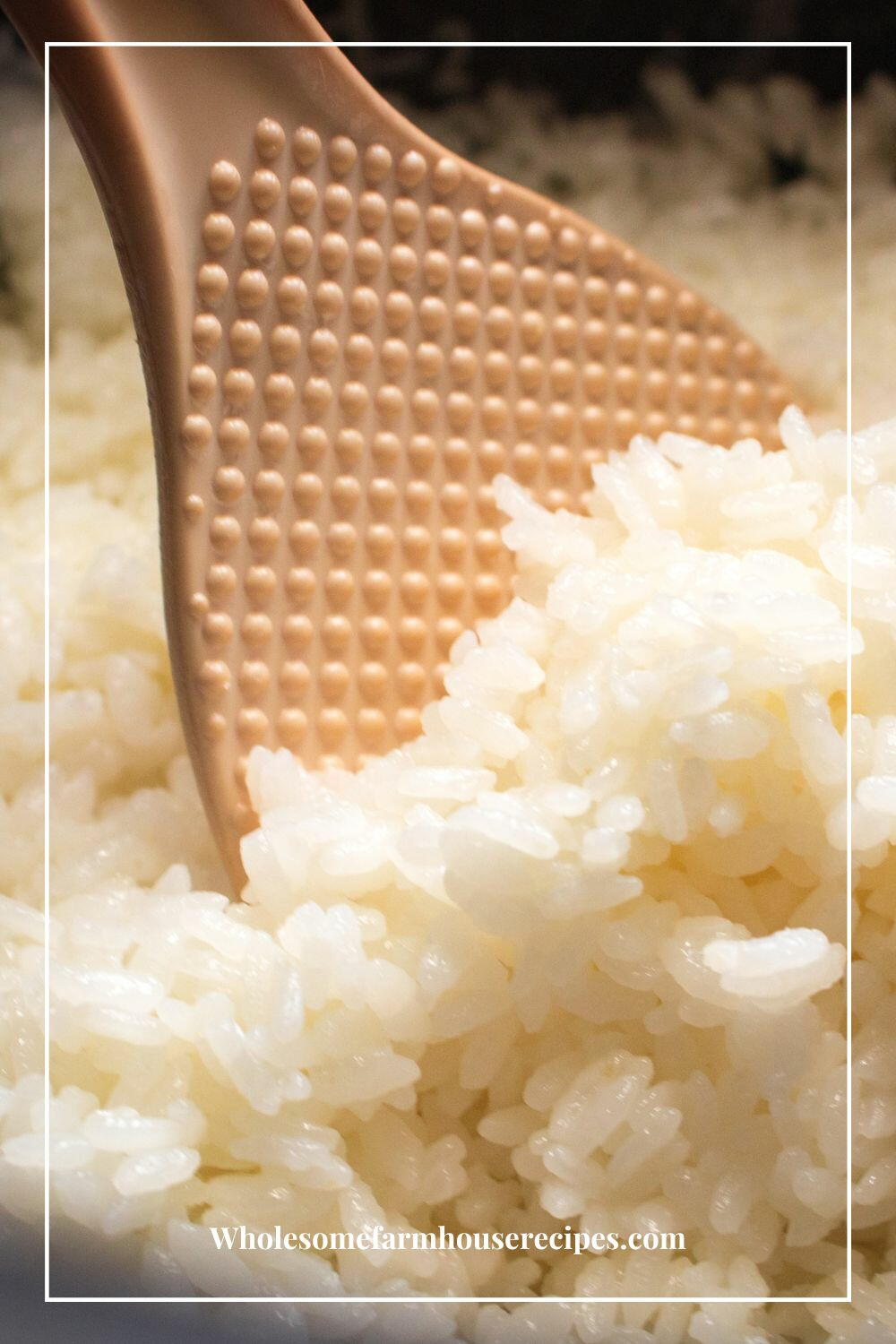 How To Make Sushi Rice In A Rice Cooker | AllFreeCopycatRecipes.com