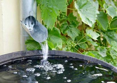 How To Harvest Rain Water At Home