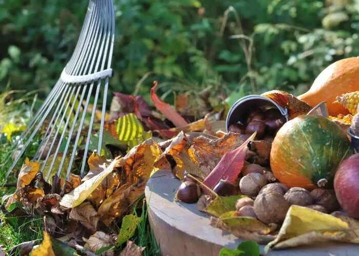How To Prepare Your Garden For Winter | CheapThriftyLiving.com