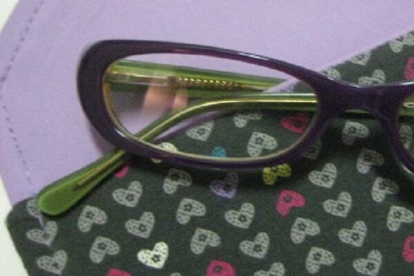 Easy Sewn Eyeglass Case