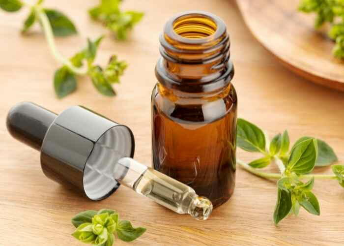How To Make Oil Of Oregano