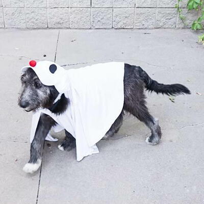 DIY Dog Ghost Costume