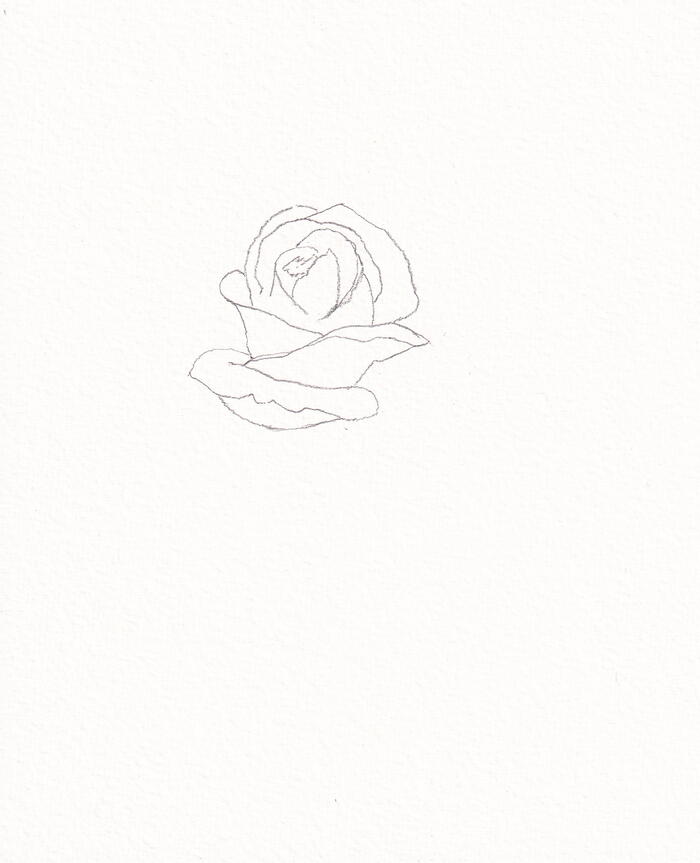 Rose | FaveCrafts.com