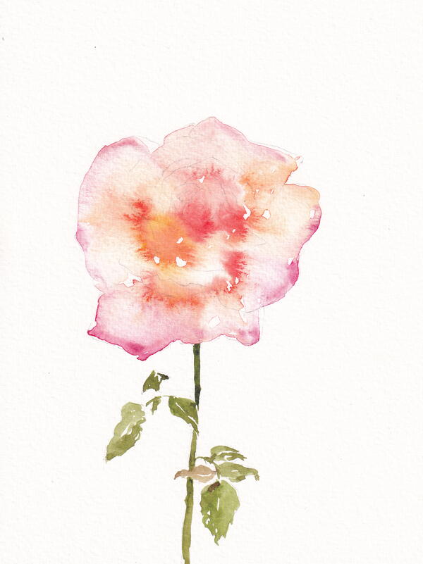 Rose | FaveCrafts.com