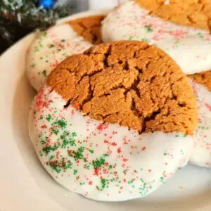 Chocolate-dipped Gingerbread Cookies