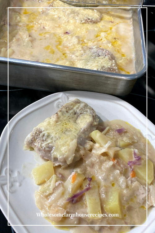 Creamy Pork Chop And Vegetable Casserole 
