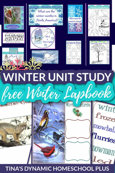 Winter Unit Study And Printable Lapbook