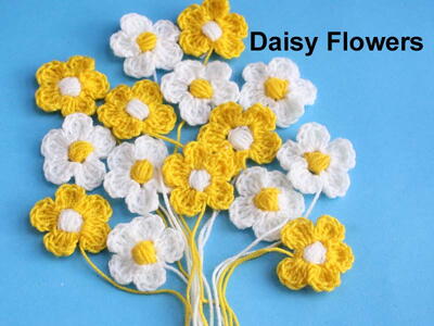 Daisy Flowers Super Easy Pattern For Beginners