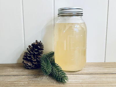 Pine Needle Vinegar Cleaner Recipe