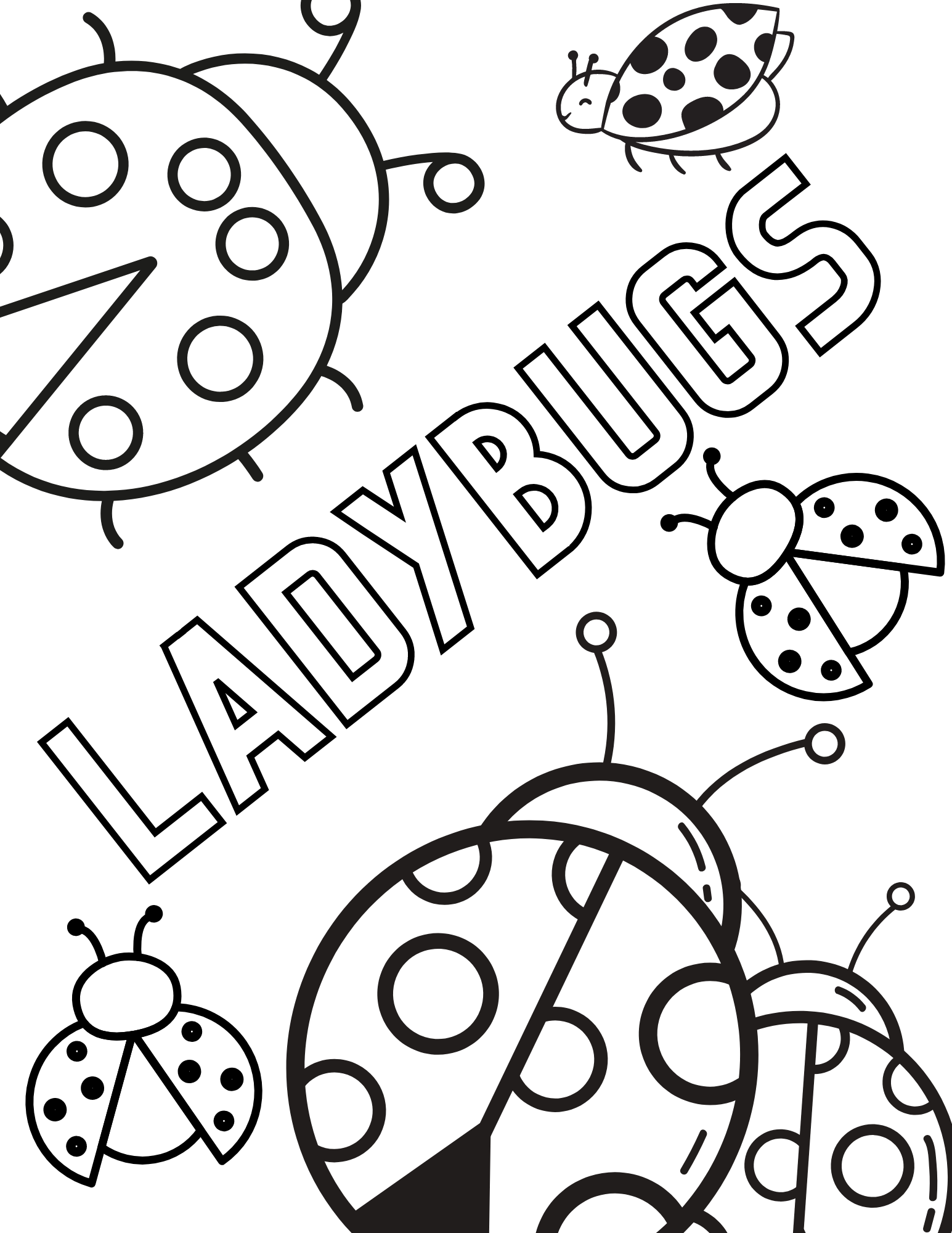 Ladybug Coloring Page — Reference 7 Ladybug Coloring Page — Reference 7
