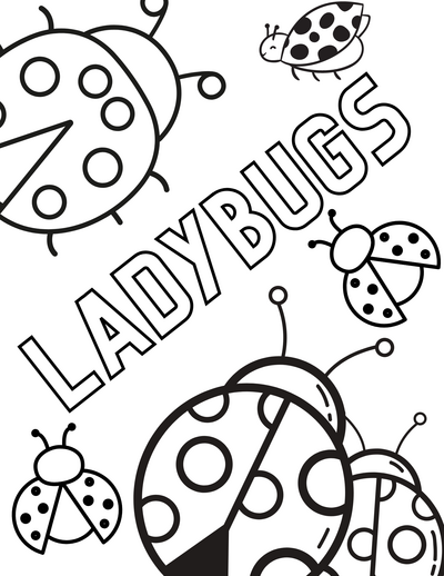 Free Ladybug Coloring Pages 