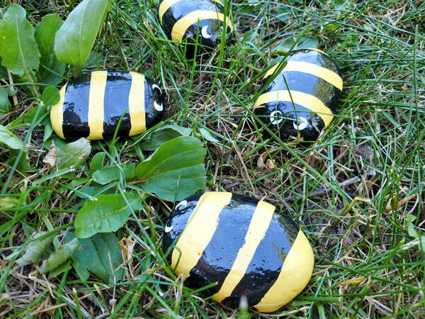 Cute Painted Bumble Bee Rocks
