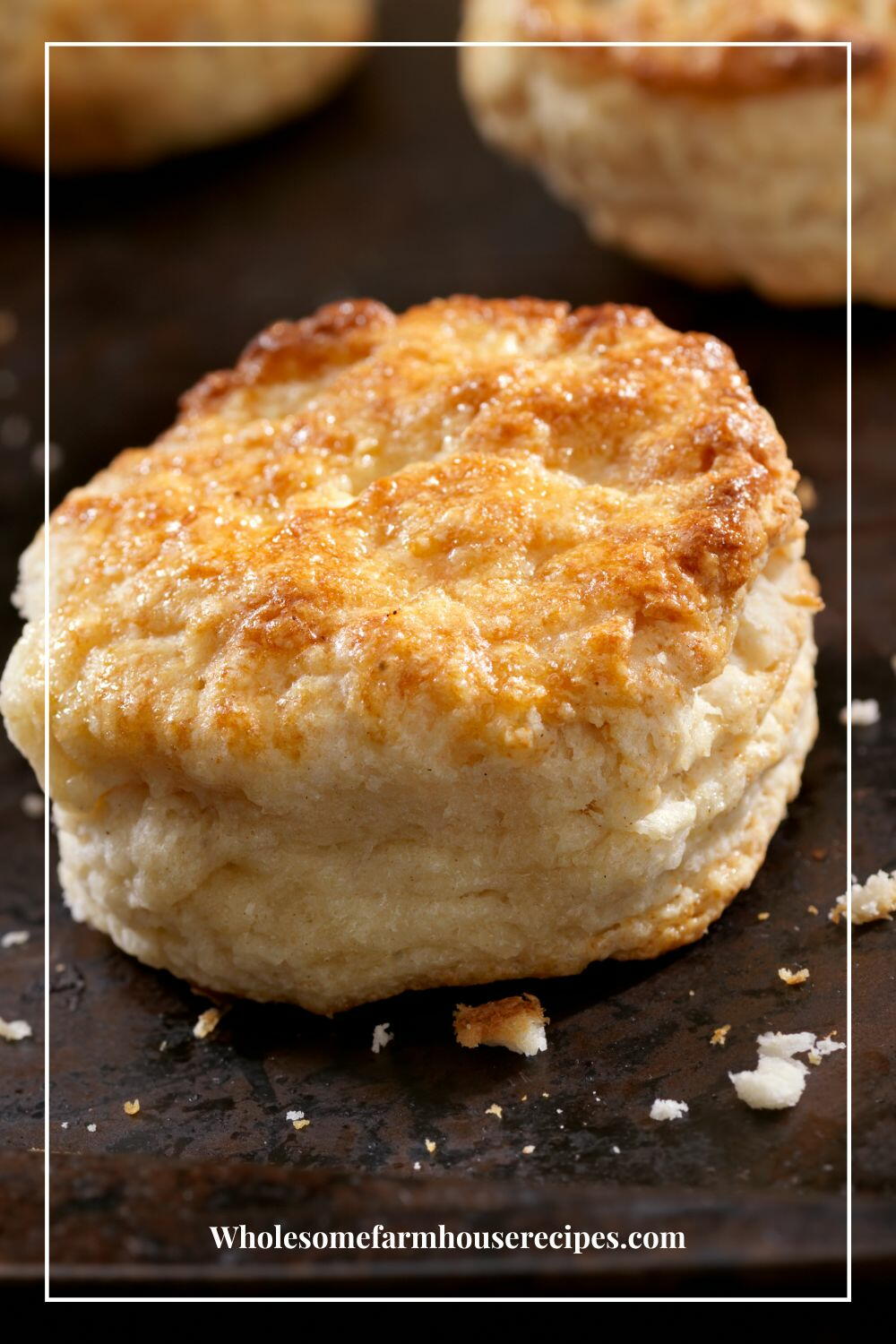 2 Ingredient Cream Biscuits Recipe 0717