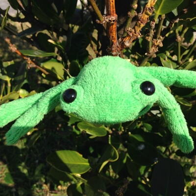 How to Make a Frog Stuffed Animal Pattern
