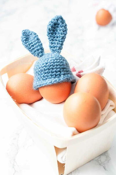 Egg Warmer Cozy