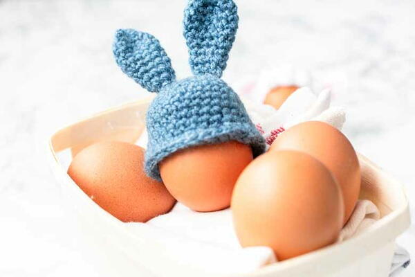 Egg Warmer Cozy