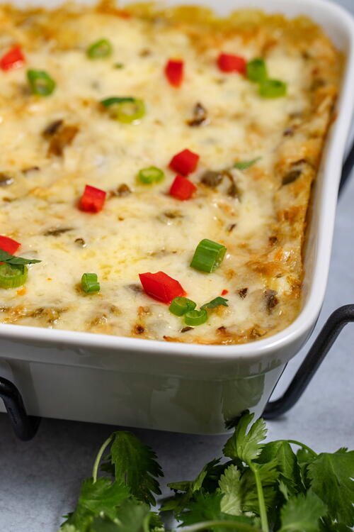 Chicken Enchiladas Lasagna