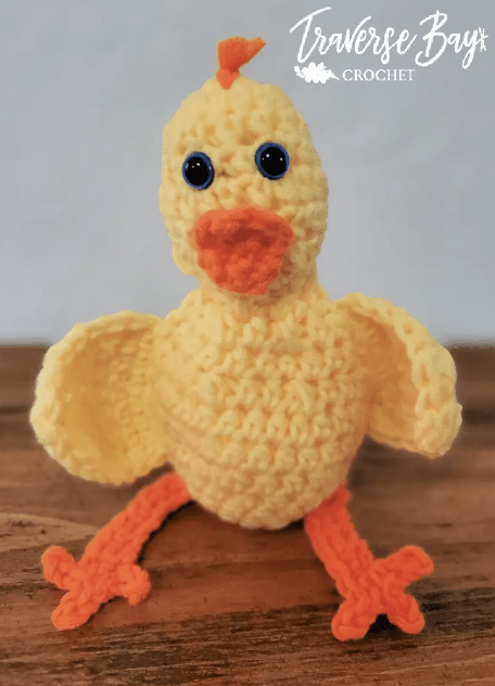 Duck Toy