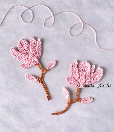 Crochet Magnolia 