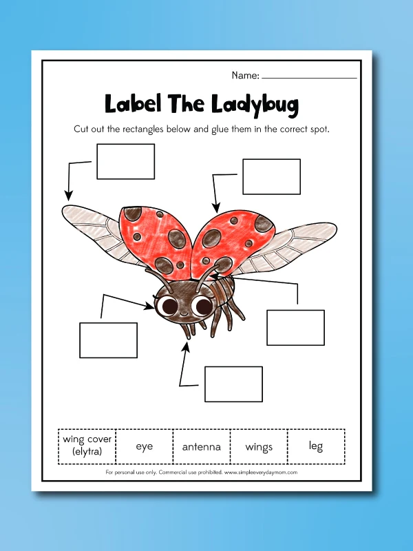 Ladybug Worksheets | AllFreeKidsCrafts.com