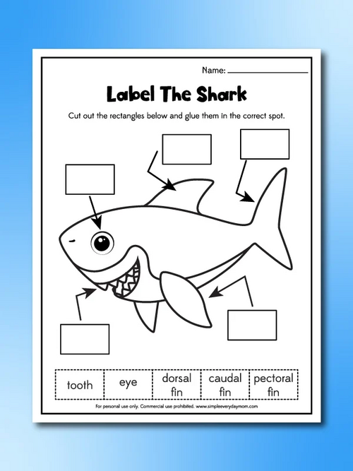 Shark Worksheets