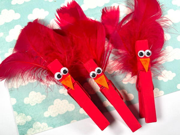Cute And Colorful Red Bird Craft With Feathers