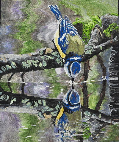 Eurasian Blue Tit “Reflections”