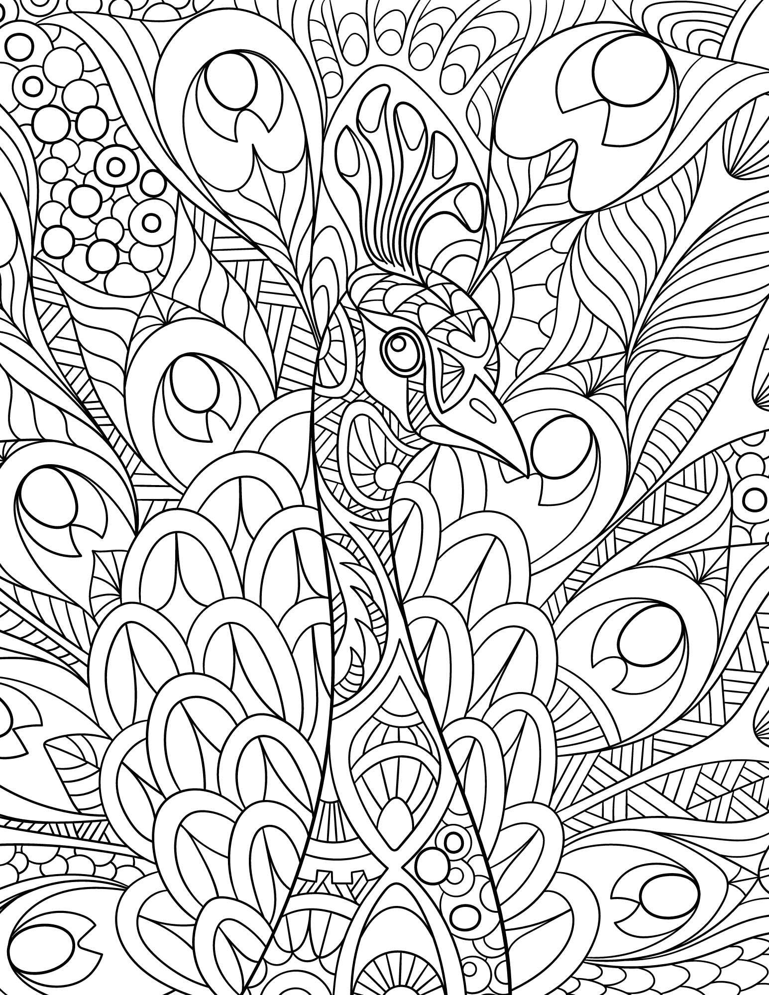 Peacock Coloring Pages For Kids And Adults | AllFreeKidsCrafts.com