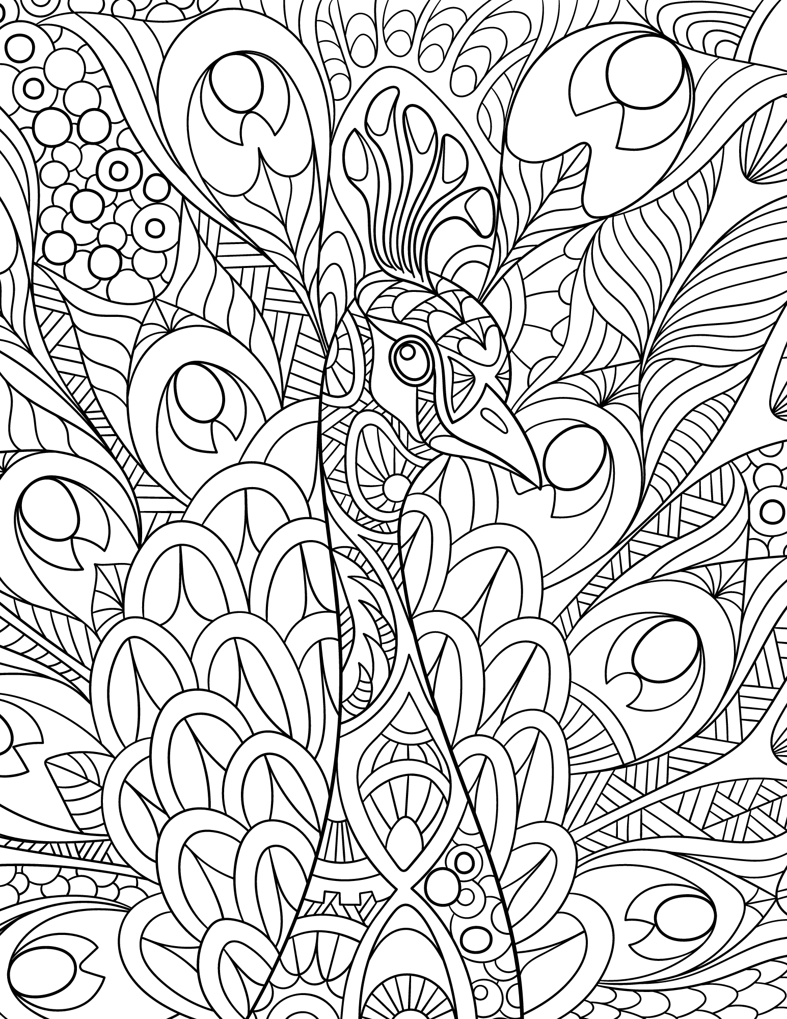 Peakock Coloring Pages for Adults: Relaxing Adult Coloring Fun