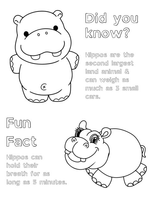 Cute Hippo Coloring Pages