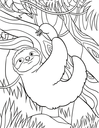 Free Sloth Coloring Pages