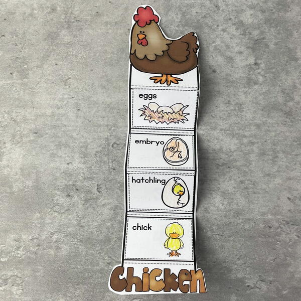 Chicken Life Cycle Craft | AllFreeKidsCrafts.com chicken-life-cycle-craft-allfreekidscrafts-com