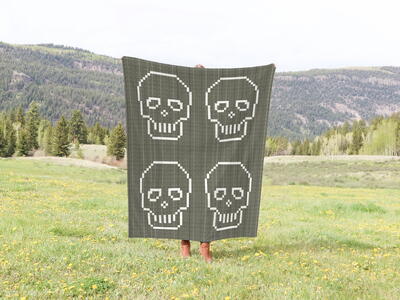 C2c Skull Crochet Blanket