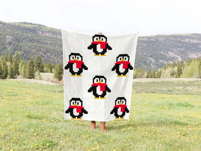 C2c Little Penguin Crochet Blanket