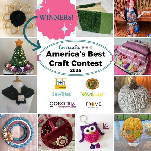 Americas Best Craft Contest 2023 WINNERS