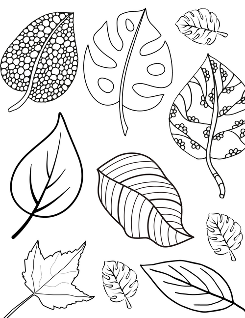 Fun Fall Leaves Coloring Pages For Kids And Adults