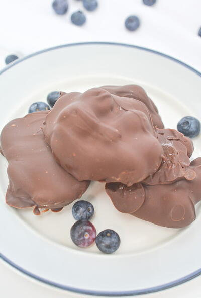 Viral Chocolate Covered Blueberry Yogurt Clusters
