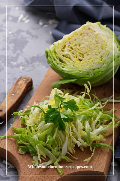 How To Tell If Cabbage Is Bad The Ultimate Guide