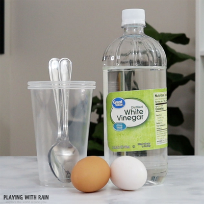 Egg-citing Bouncing Fun: Try This Science Experiment!