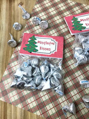 Mistletoe Kisses Treat Bags