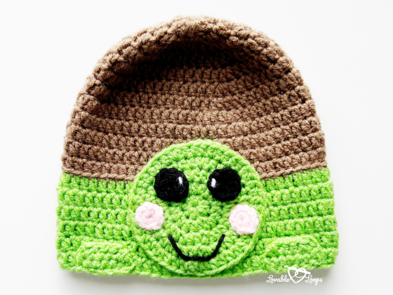 Turtle Hat