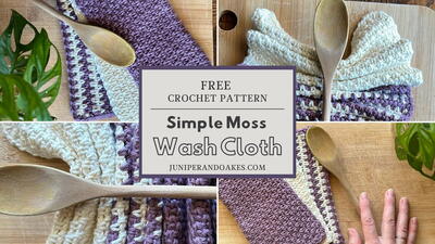 Simple Moss Washcloth