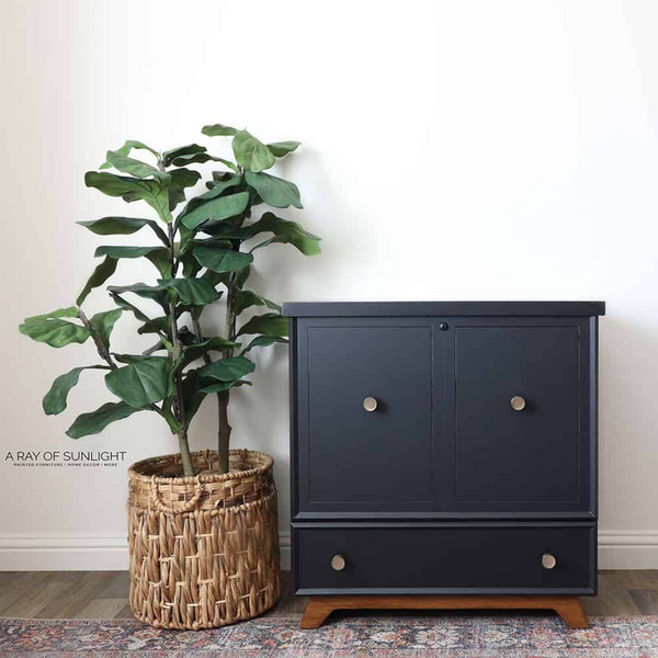 Sleek Black Cedar Chest