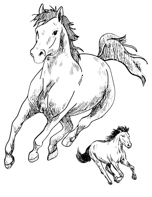 9 Free Printable Horse Coloring Pages