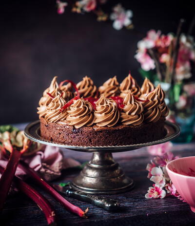 Chocolate and Rhubarb Cake