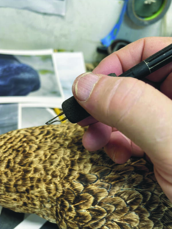 Shell Game, Part One | wildfowl-carving.com