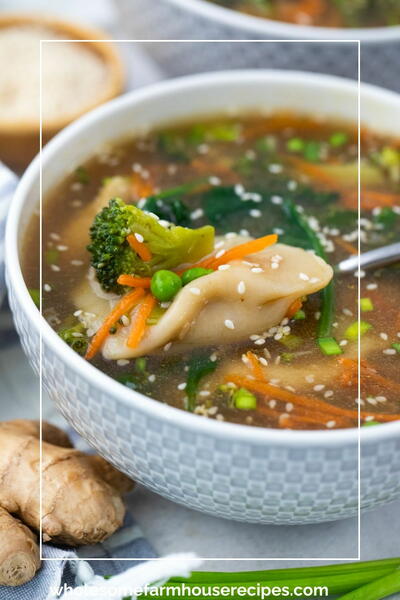 Quick And Easy Homemade Potsticker Soup Recipe