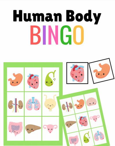 Human Body Printable Bingo Cards
