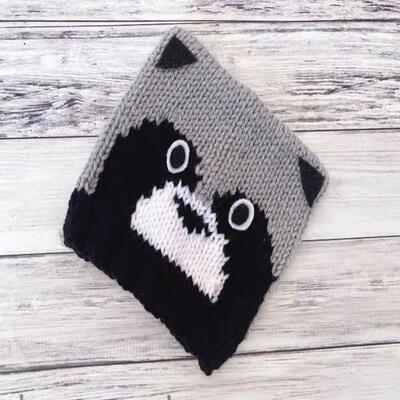Knit Raccoon Hat