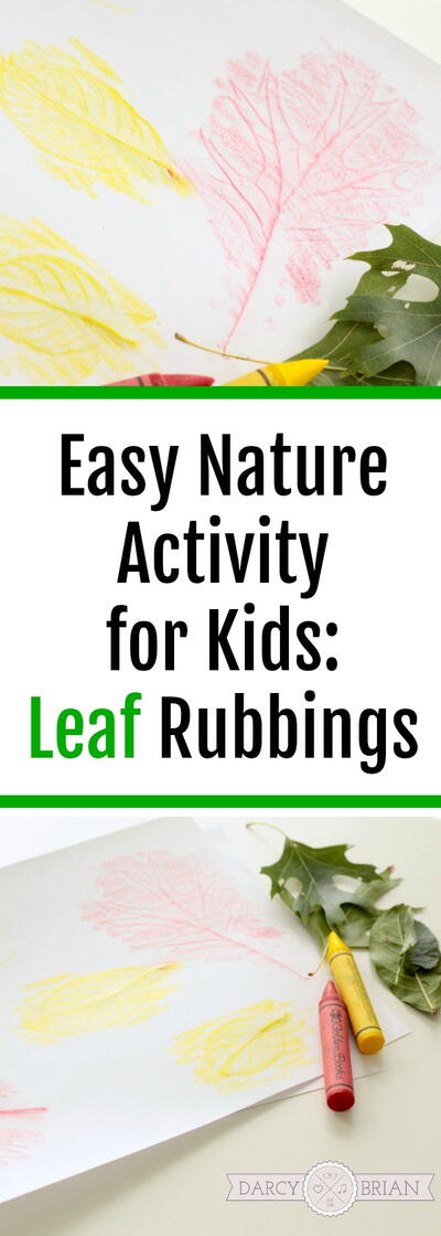 Leaf Rubbings Idea For Kids